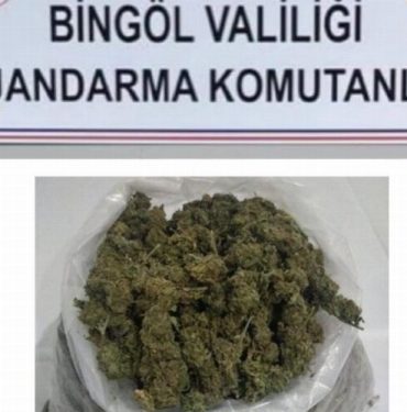 Bingöl'de 1,18 kilogram esrar ele geçirildi