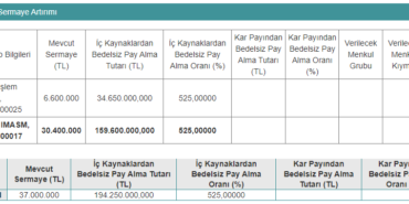 Hissedarlarına, Yüzde 525 Bedelsiz Pay Dağıtma Kararı Aldı