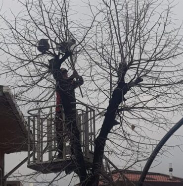 Keşan itfaiyesinden kedi operasyonu
