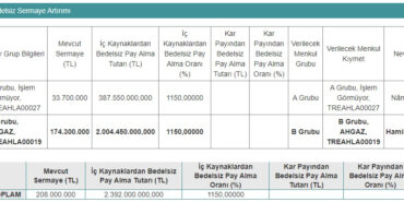 Halka Arz Sonrası, Yüzde 1