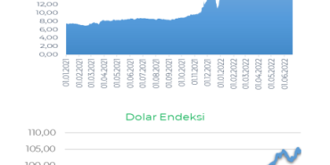 Yeni Ekonomi Paketi Beklentileri Karşılamayınca Dolar Tekrar Yükselişe Geçti