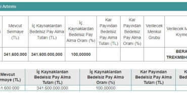 Yüzde 100 Oranındaki Bedelsiz, SPK’dan Onay Aldı