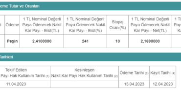 AKSA, Pay Başına Ödeyeceği Temettü Miktarını Açıkladı