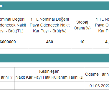 Hissedarlarına Pay Başına 4 Lira Temettü Verecek