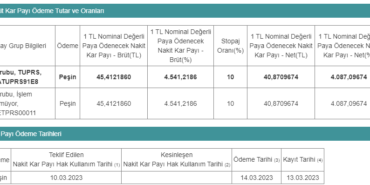 6 Mart Haftası Temettü Verecek Şirketler