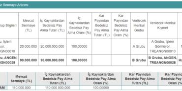 Hissedarlarına Yüzde 100 Bedelsiz Pay Dağıtma Kararı Aldı