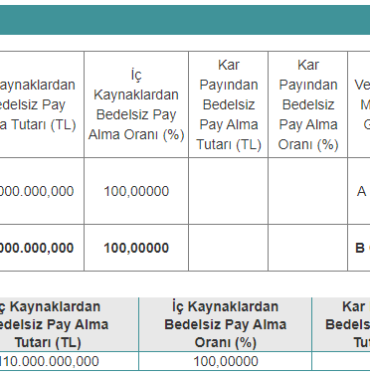 Hissedarlarına Yüzde 100 Bedelsiz Pay Dağıtma Kararı Aldı