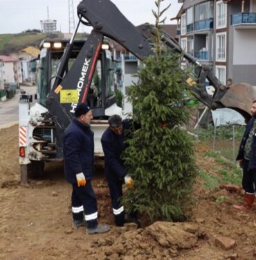Kocaeli İzmit'te ağaçlandırma çalışması