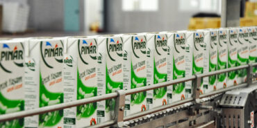 PNSUT Yüzde 348,3 Temettü Açıkladı