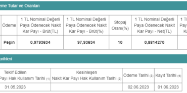 SISE, Hissedarlarına 88 Kuruş Temettü Verecek