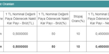 SUWEN Yatırımcısına Temettü Verecek