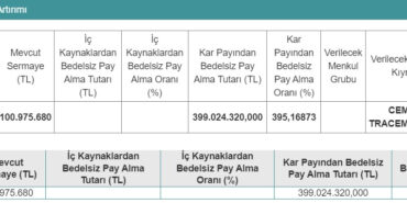 CEMTS Sermaye Artırımı Yapacak