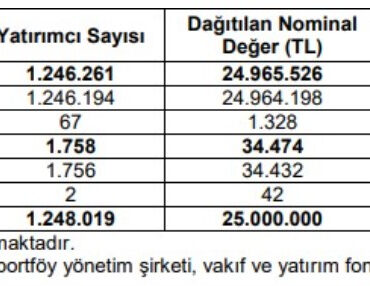 Merak Edilen Halka Arzda Sonuçlar Açıklandı