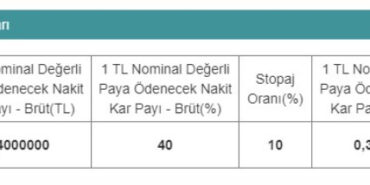 O Şirket Yüzde 40 Temettü Verecek