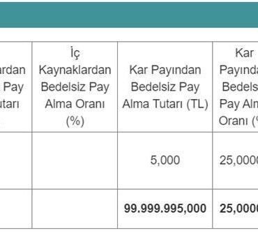 100 Milyon Liralık Sermaye Artırımı
