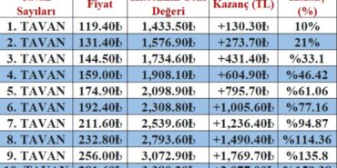 Halka Arzlar Ne Kadar Kazandırdı ?