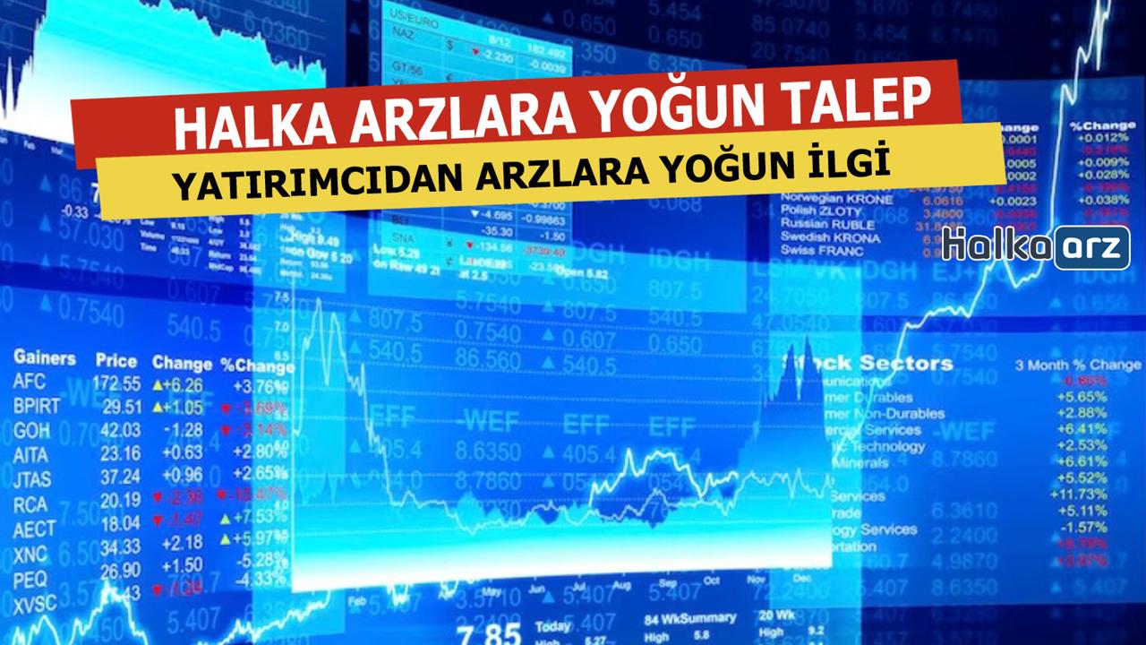 Halka Arzlara Katılım Sayıları Zirvede