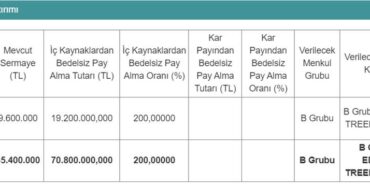 SPK Onayı Verdi, Yüzde 200 Sermaye Artırımı Yapacak