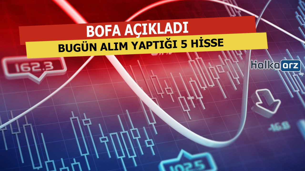 BofA'nın Bugün Alım Yaptığı 5 Hisse