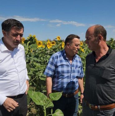 Gaytancıoğlu: Ayçiçeği taban fiyatı en az 20 TL olmalı