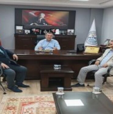 Coğrafi işaretli Milas zeytini 'Hasat Şenliği'nde taçlandı