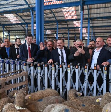 Hayvancılığa büyük destek