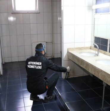Okullarda ilaçlama çalışmaları tamamlandı