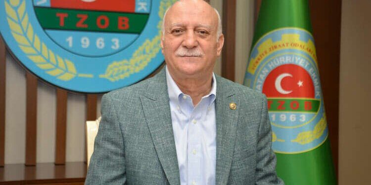 TZOB: Bu yıl da Tarım Kredi Kooperatifleri ve Türkşeker buğday alımı yapmalı