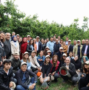 Ege'de kiraz hasadına enerji kattılar
