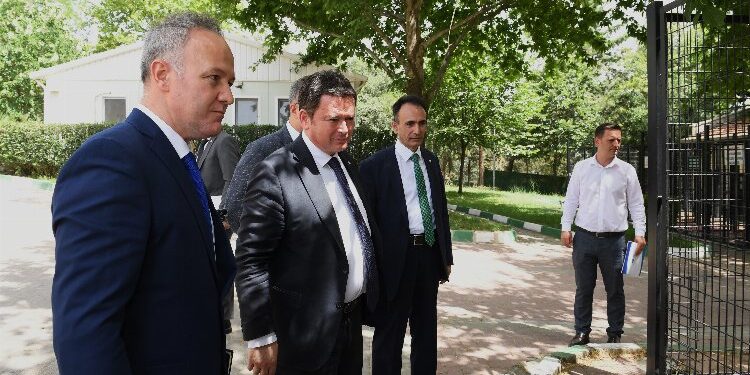 Geleceğin veteriner hekimleri Osmangazi'de yetişiyor