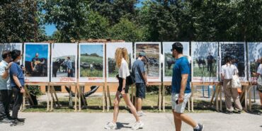 İstanbul'da 'Manda Festivali' ile üçüncü buluşma