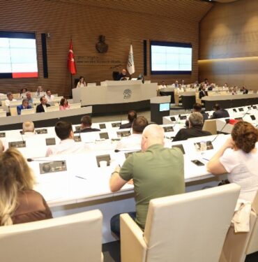 Nilüfer'de sokak hayvanlarının sorunlarına ‘komisyon’ eli