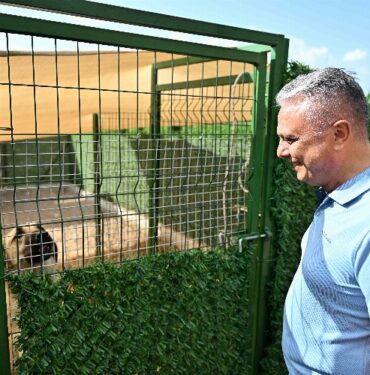 Başkan Uysal: 'Denge Sağlanmalı'