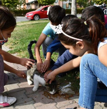 Okul bitince öğrencilerin hayvan sevgisi de bitiyor
