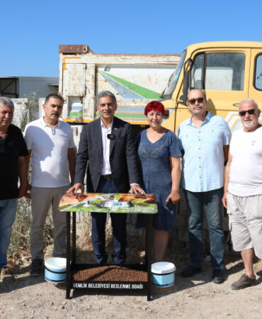 Bursa Gemlik'te sokaktaki canlara beslenme takviyesi