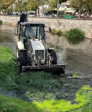 Bursa Gemlik'te derelerde temizlik