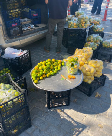Mandalinalar Bursa pazarlarında yerini aldı