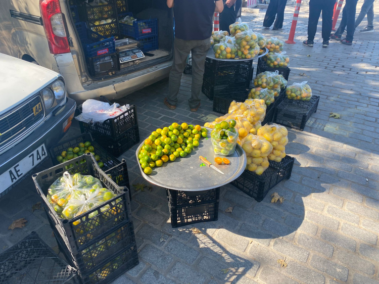 Mandalinalar Bursa pazarlarında yerini aldı