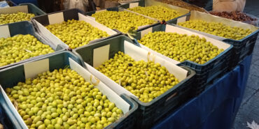 Bursa Tuz Pazarı’nda kurmalık zeytin satışı başladı