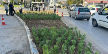 Manisa'dan yeşil alanlara bakım