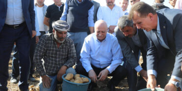 TZOB: Patates ve kuru soğana müdahale şart!