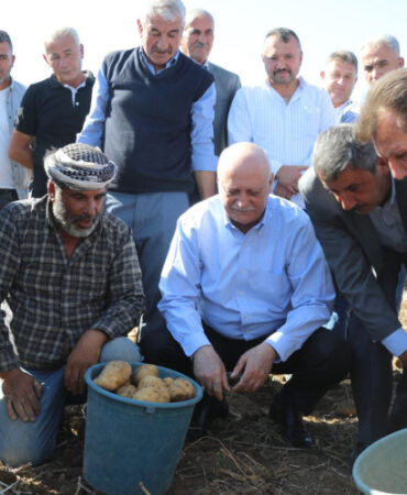 TZOB: Patates ve kuru soğana müdahale şart!