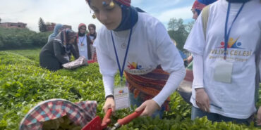 'Ayrı değil biriz biz' filmiyle Sakarya'ya gelen birincilik