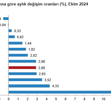 Ekim ayı enflasyonu yüzde 2,88 arttı