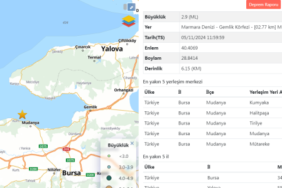 Gemlik Körfezi sallandı!