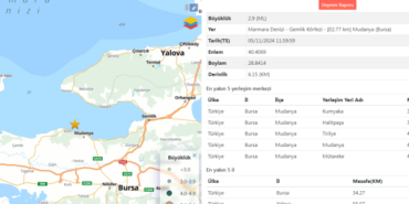 Gemlik Körfezi sallandı!