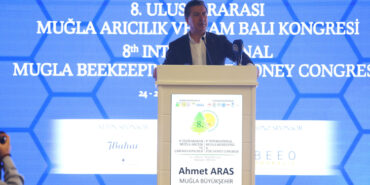 Muğla'da arıcılara yeni bir müjde!
