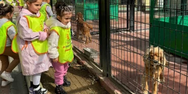 Osmangazi'de küçük hayvanseverlerden can dostlarına ziyaret