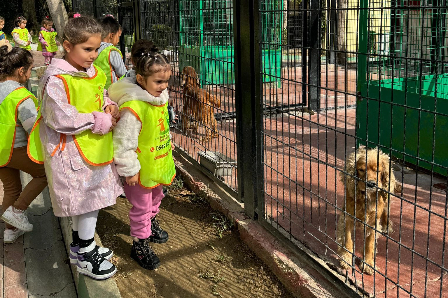 Osmangazi'de küçük hayvanseverlerden can dostlarına ziyaret