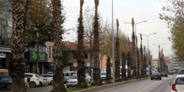 Sakarya üç boyutlu tomografi ile faciaları önleyecek